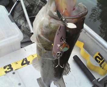 2009_04_17.fishing.004.jpg