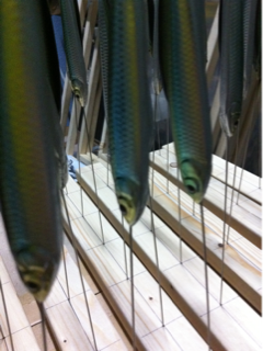 image-20110415172641.png